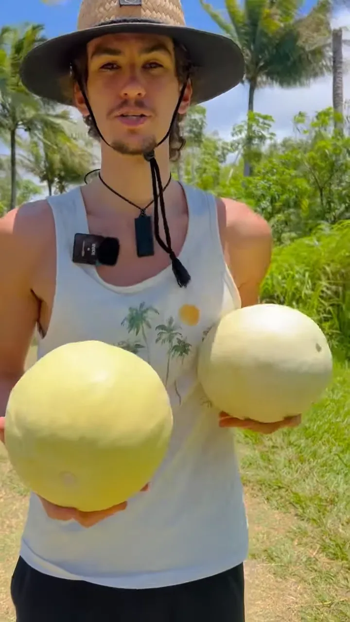 do honeydew melons grow on trees?