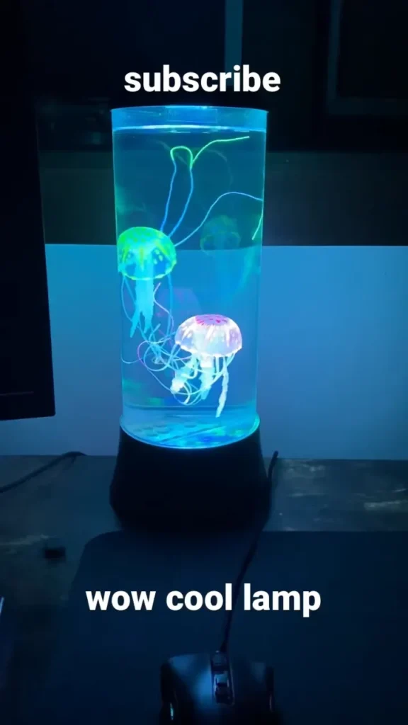  Setting Up Your Jellyfish Lamp