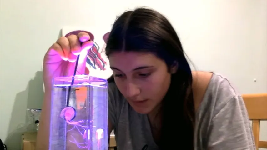 Do you put water in jellyfish lamp?