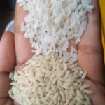 plastic rice vs normal rice