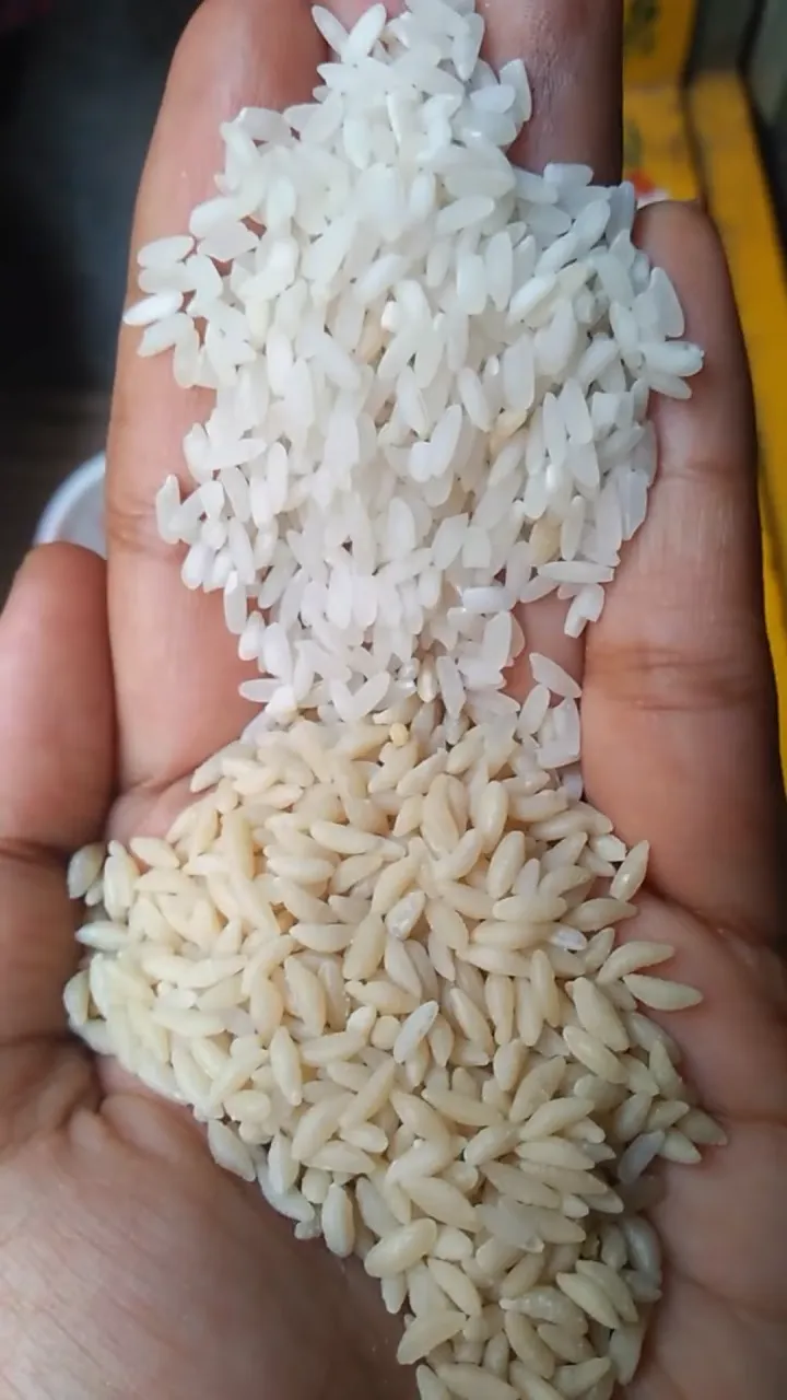 plastic rice vs normal rice